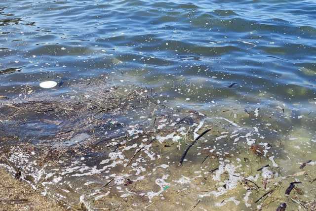 Schiuma, bolle e rifiuti: il mare barese, d'estate, si sporca sempre. Ecco il motivo
